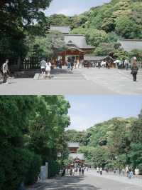 鎌倉｜《男兒當入樽》聖地巡禮