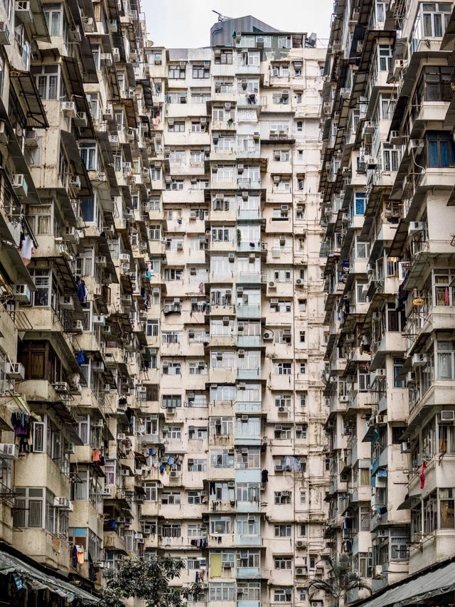 港島東文藝漫遊：鰂魚涌到太古的文化轉身