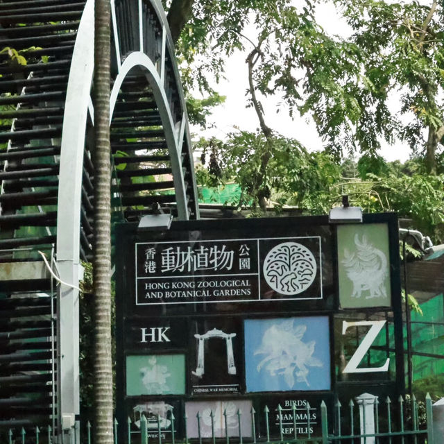 香港動植物公園深度遊｜鬧市綠洲的慢時光探索之旅