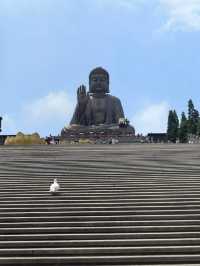 山東煙台龍口南山風景區|世界第一錫青銅大坐佛