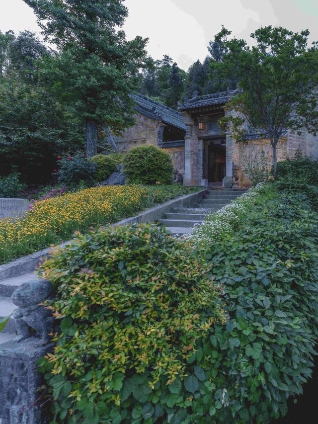 二刷青木川！茶園旁山景古色古香大宅超chill