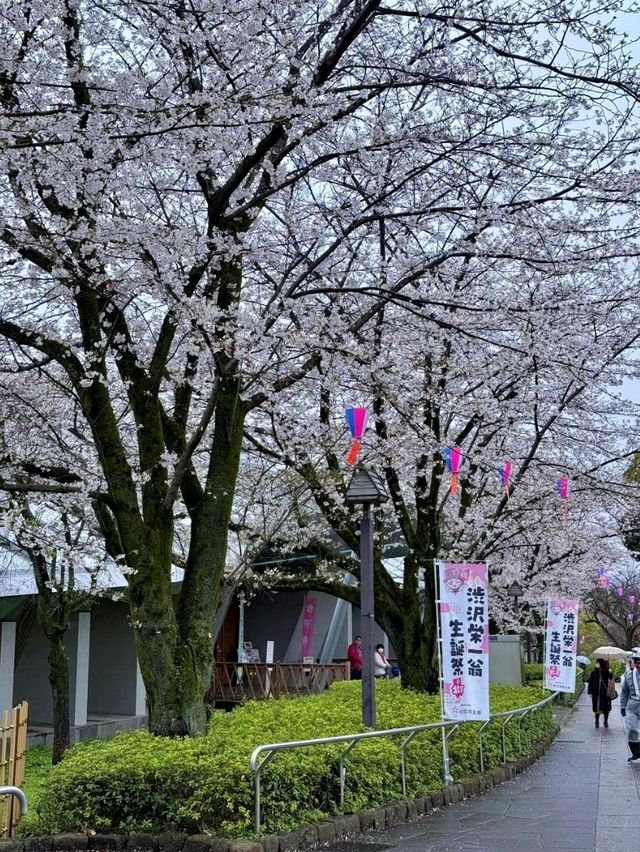 東京飛鳥公園交通攻略：輕鬆抵達都市綠洲