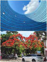 建水嘅小眾玩法，呢篇攻略講清楚