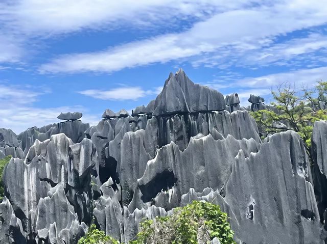 石林之美，一眼萬年
