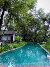 西溪煙雨後：濕地嘅朦朧水墨技法，濕地植物嘅棱鏡折射藝術