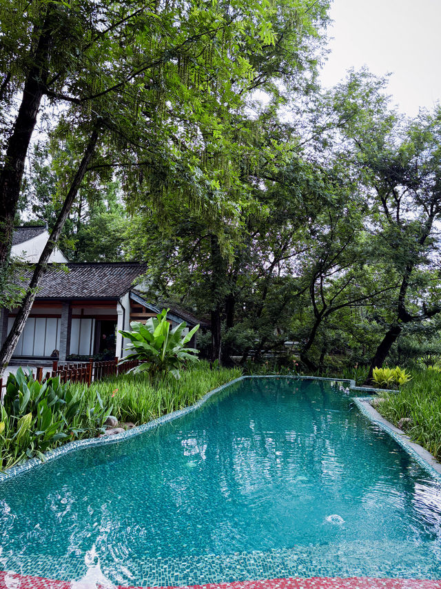 西溪煙雨後：濕地嘅朦朧水墨技法，濕地植物嘅棱鏡折射藝術