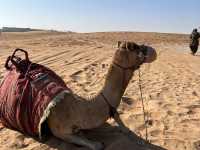 Dune 3 🫢🏄 surf the desert 🐪 