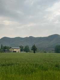 安吉英迪格酒店：隱匿於山水間的夢幻之境