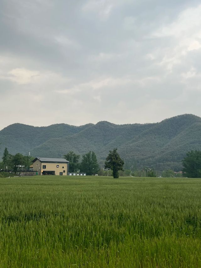 安吉英迪格酒店：隱匿於山水間的夢幻之境