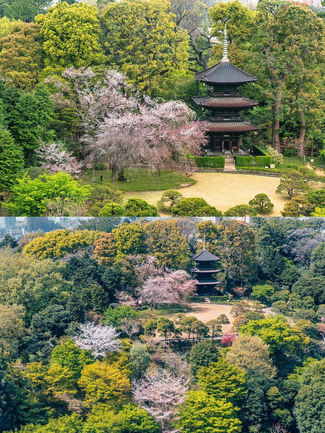 東京都心の世外桃源✨ 椿山莊酒店