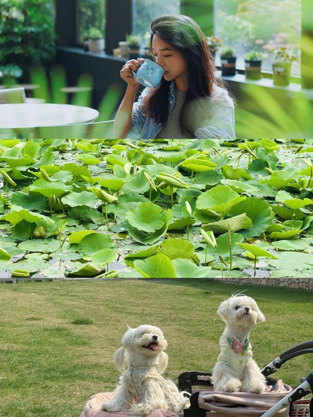 溜娃好去處！蘇州年度寶藏度假村必打卡