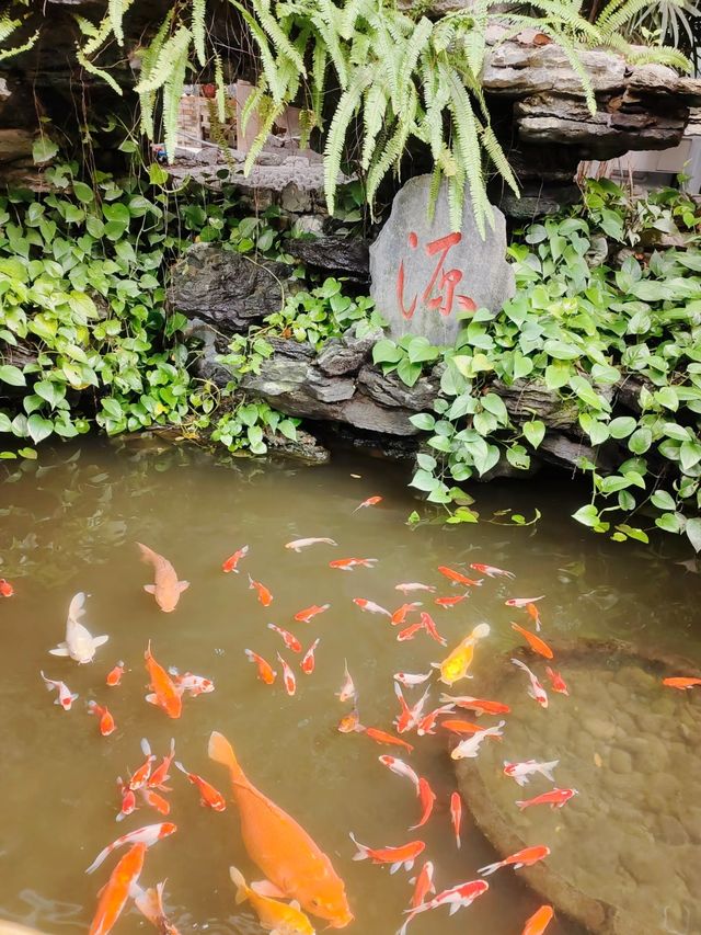 喺廣東！唔使錢可以住三日嘅精神避難所！