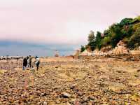 Beihai Volcanic Coast: Where Ancient Fire Meets the South China Sea