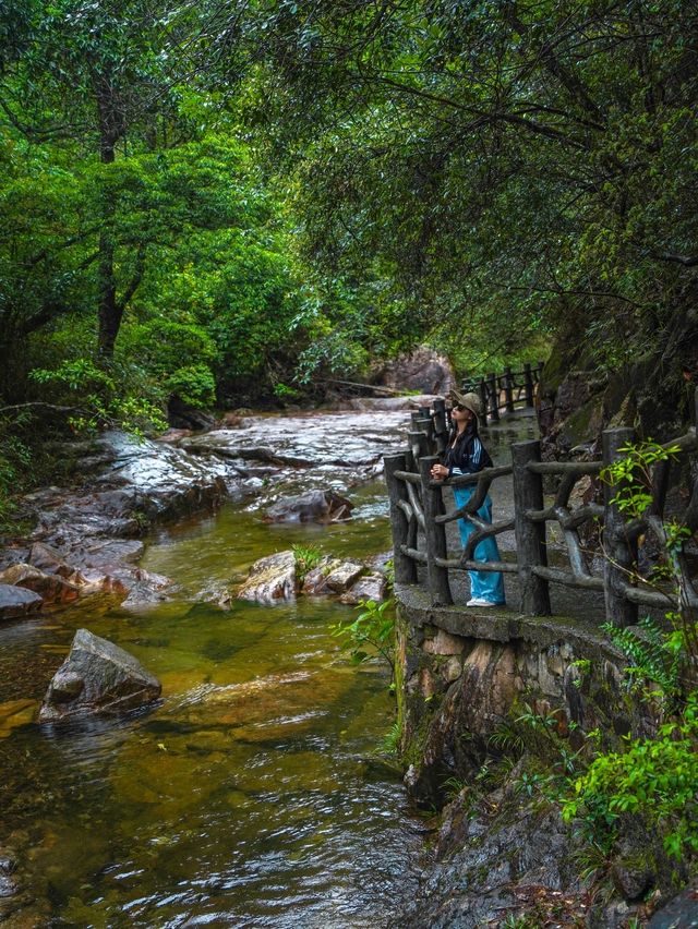 風景唔輸張家界！夏日避暑帶娃衝呢度無痛行山