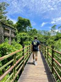 A Hidden Treasure in Hainan!🌿