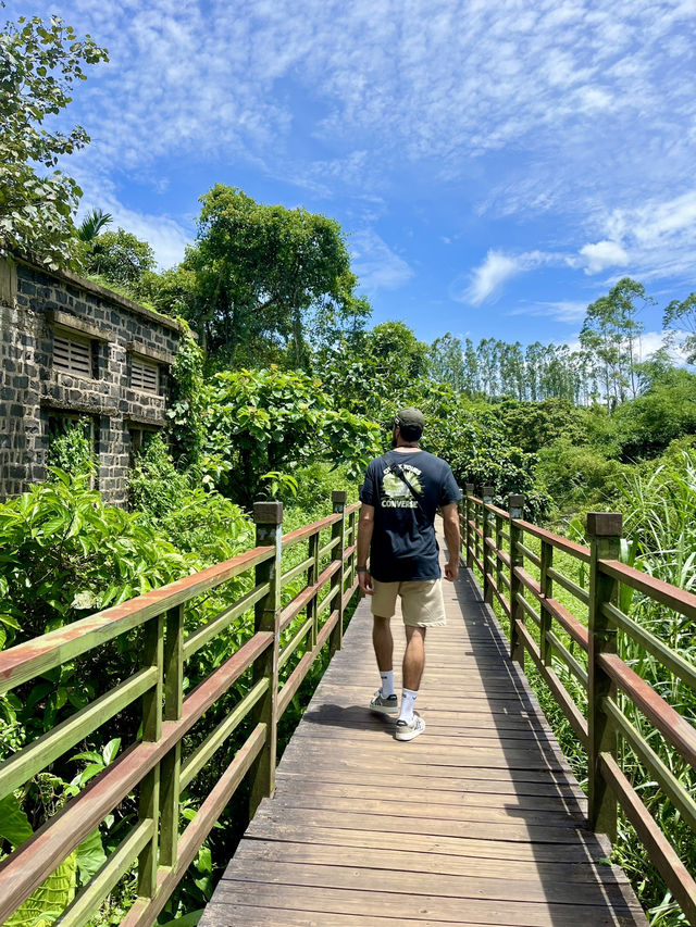 A Hidden Treasure in Hainan!🌿