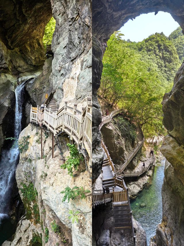 一定要嚟一次神農架！闖入北緯嘅綠野仙蹤