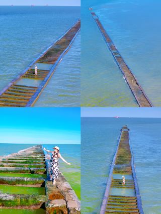Dongying | Visiting in July-August is truly wonderful, with fewer crowds and beautiful scenery