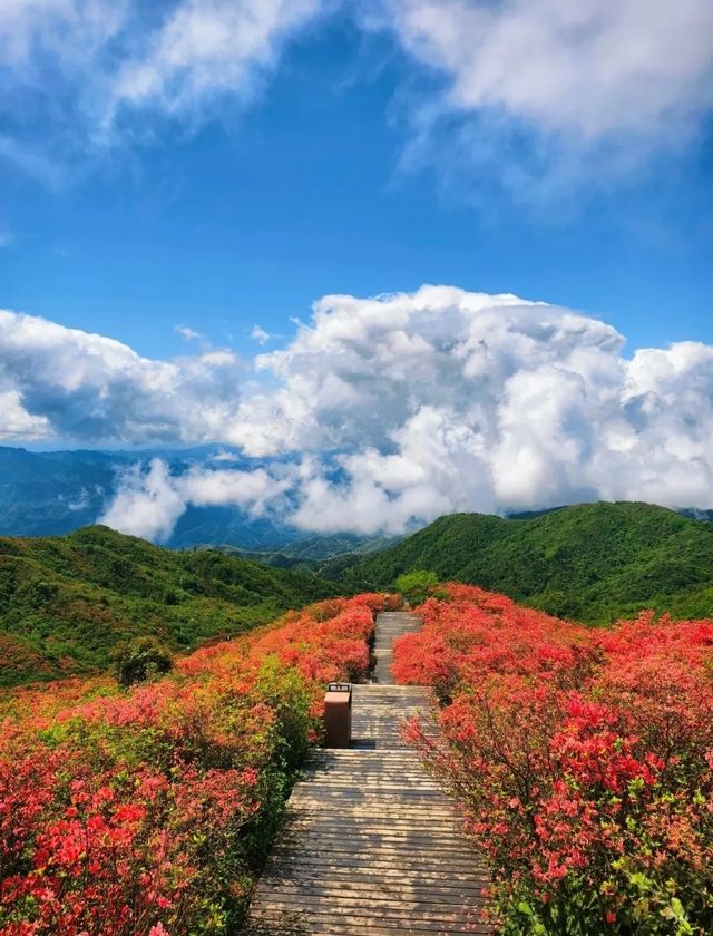 從長沙出發，同瀏陽交換一個夏天|3天1晚自駕攻略 七月