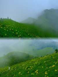 今年桂林小黃花嘅天花板：茶坪水庫