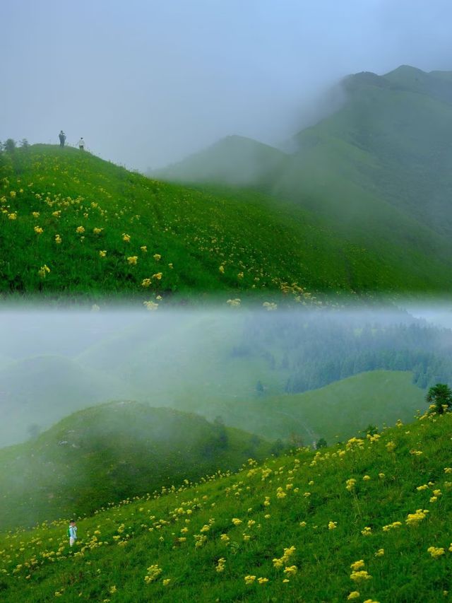 今年桂林小黃花嘅天花板：茶坪水庫