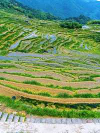 無錫→雲和遛娃玩水全搞定