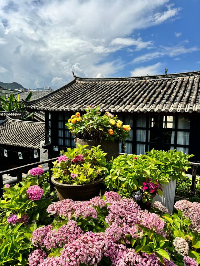 麗江度假‖想留在束河這家美墅