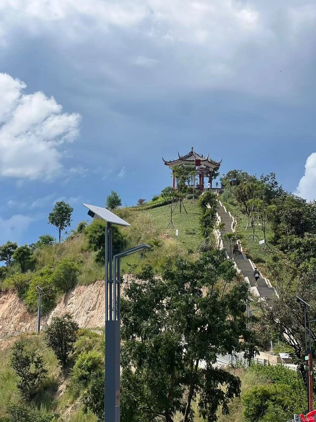 絕美東華山 城市山頂的一眼萬年
