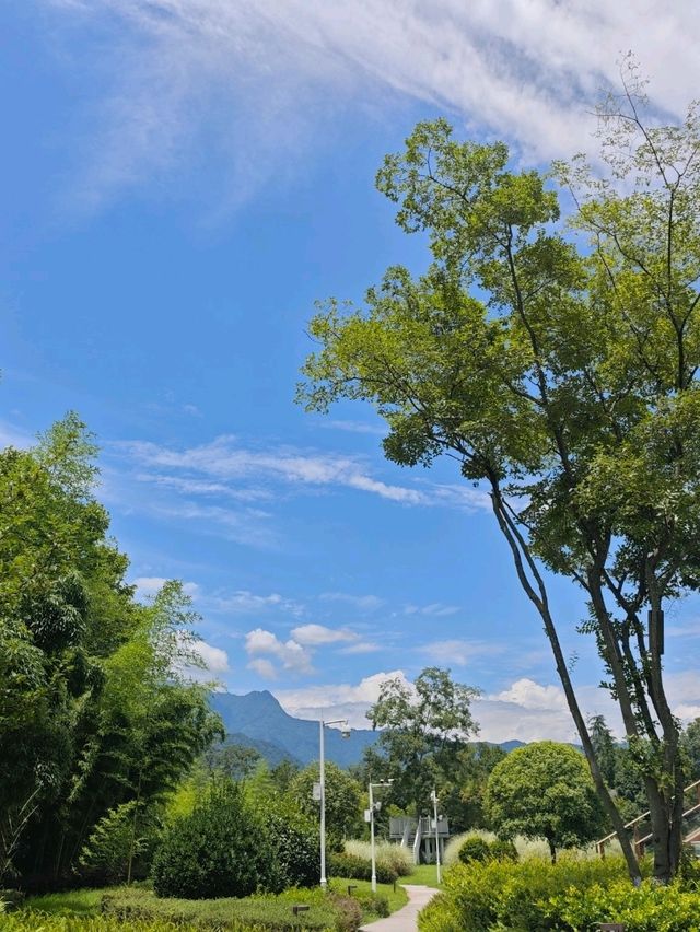 Spring Mountain Hotel at the Foot of Qingcheng Mountain is totally my spiritual home!** 🏡  