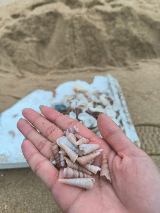 睇海‖睇展‖湊仔兩日一夜