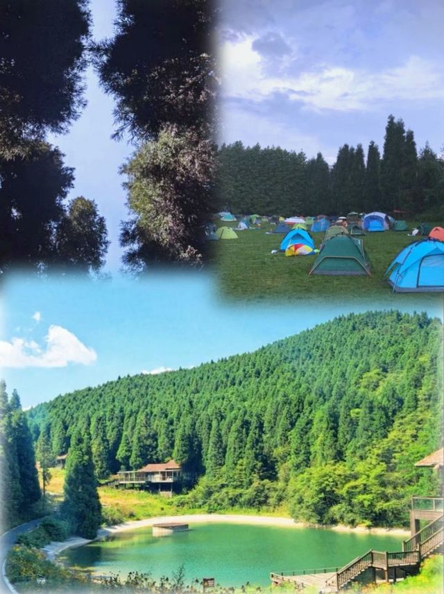 重慶森林氧吧！武陵山20℃避暑仙境 重慶周邊遊頂配攻略來