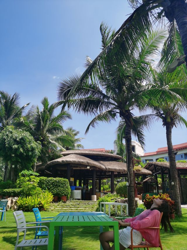 海島之旅