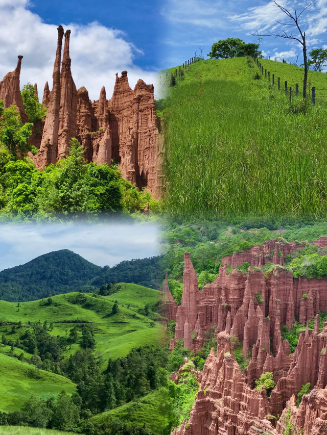 普洱已回8月真心唔建議去，我只想講啲大實話……