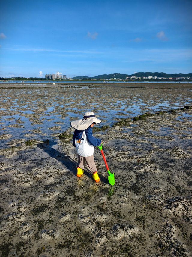 萬寧-陵水-三亞旅遊攻略：小眾親子遊+知識篇（幼兒友善版）