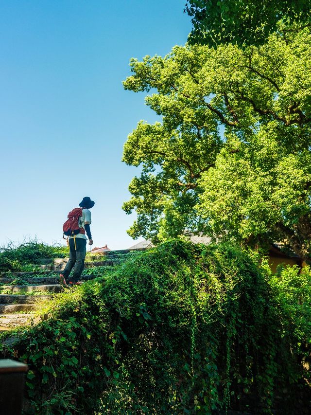桐廬非常小眾的出片機位|水口禪寺旅遊攻略
