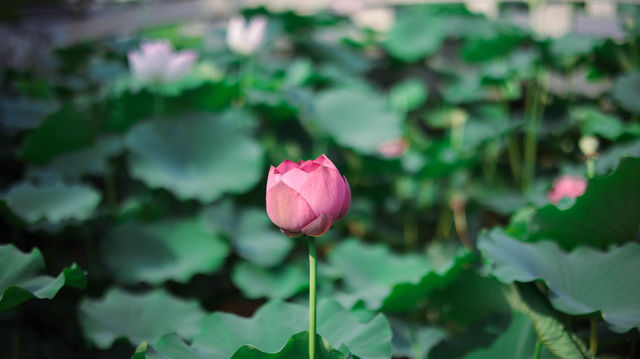 姐姐當家綜藝同款!帶娃躺平太香了 姐姐當家綜藝同款!帶娃躺平太香了