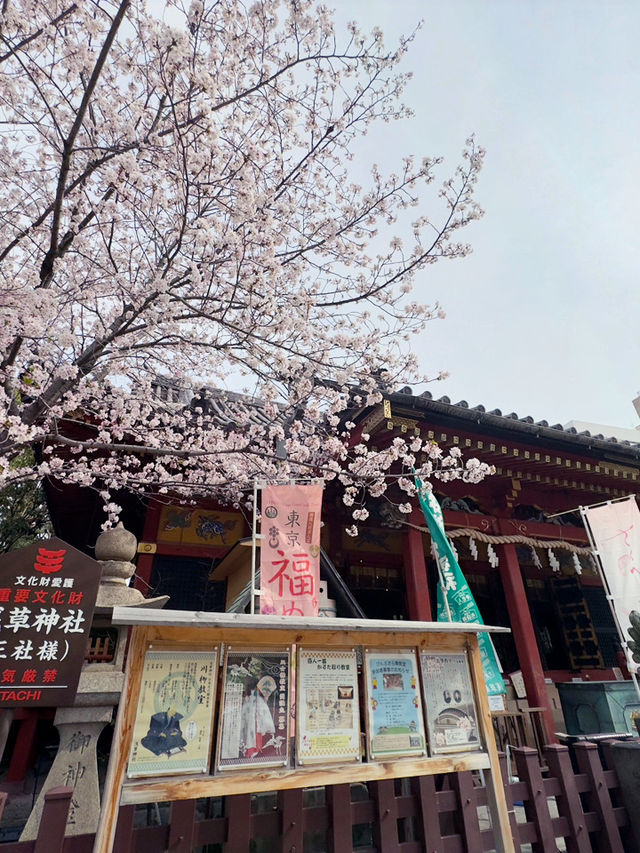 東京｜淺草神社｜傳統與文化的千年守護者