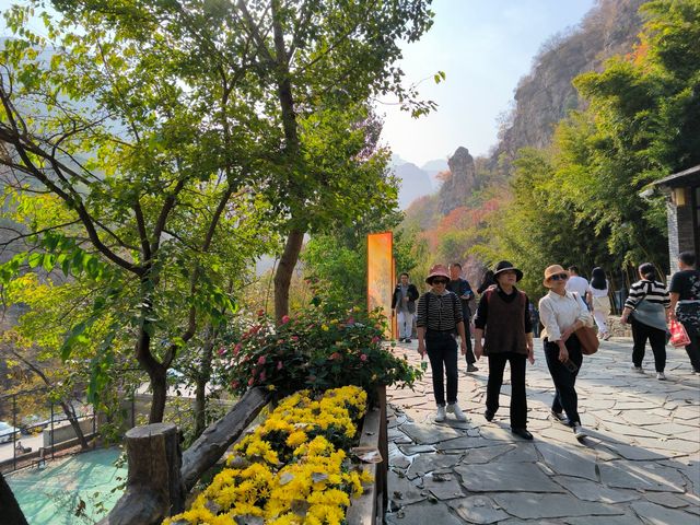 山西藏著一個「治癒系秘境」！臨汾鄉寧峰嶺景區，雲海、森林、奇峰美得令人窒息✨