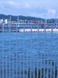 一江一島一晝夜，西壩藏盡溫柔與璀璨