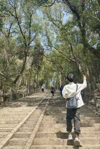 魔都週末登山好去處佘山爬山攻略