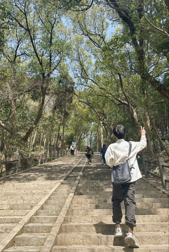 魔都週末登山好去處佘山爬山攻略