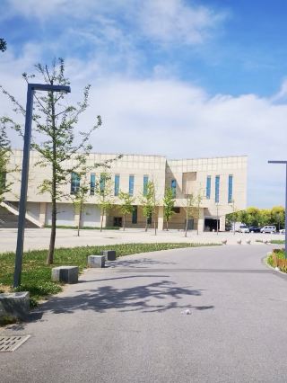 На берегу реки, пульс культуры: Культурно-спортивный парк на берегу реки