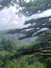 自然奇觀等你探尋---黃山