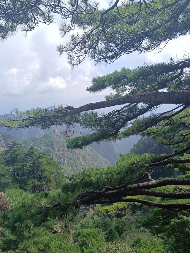 自然奇觀等你探尋---黃山