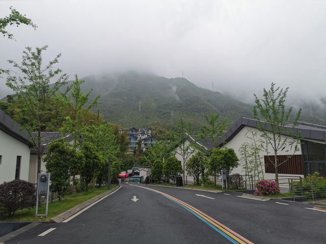 探索綠水青山,邂逅美麗風景 探索綠水青山,邂逅美麗風景