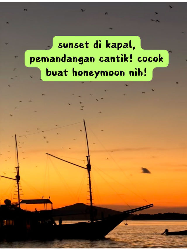 🦎 PETUALANGAN SERU DI PULAU KOMODO