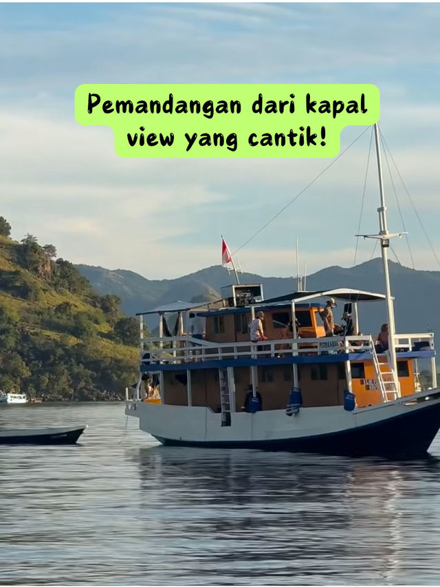 🦎 PETUALANGAN SERU DI PULAU KOMODO