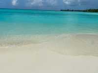Incredible Holiday at Cinnamon