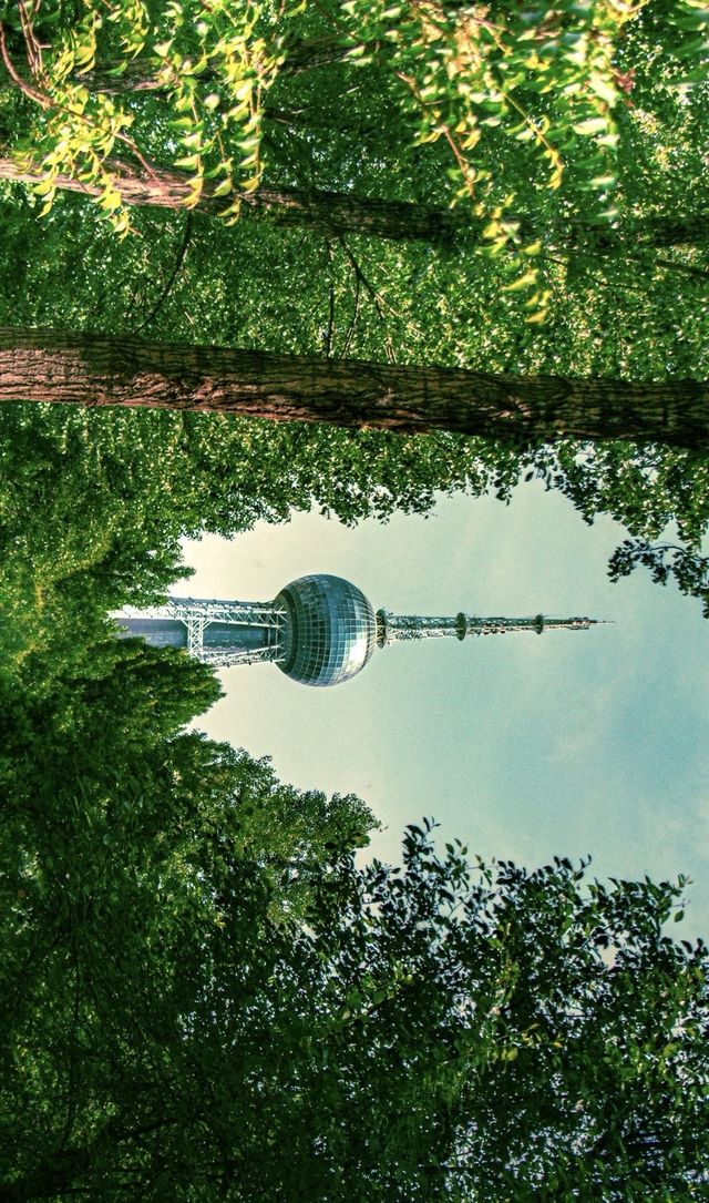 藏不住了！西寧植物園竟成影視劇取景地
