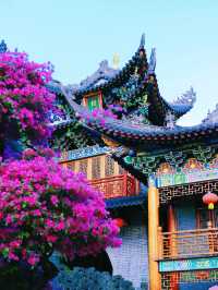 深圳這個三角梅盛開的海邊古寺，意境太美！